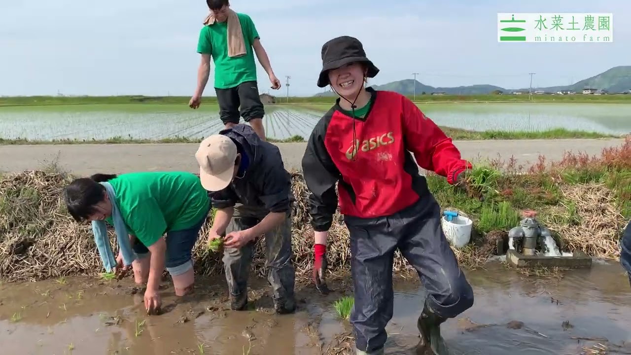 水菜土農園 | あきたこまち、ミルキークイーン、サキホコレなどを農家
