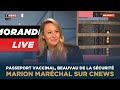 Marion Maréchal dans Morandini live sur CNEWS | 18 janvier 2021