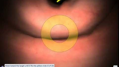 EndoSim Fundamental Endoscopy Skills 1: Navigation