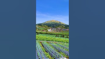 KEINDAHAN DESA BUTUH, NEPAL VAN JAVA DI GUNUNG SUMBING - Pemandangan Alam Desa Butuh, Magelang