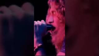 LED ZEPPELIN #guitar #rock #rock #classicrock #rocknroll #music #jimmypage #robertplant
