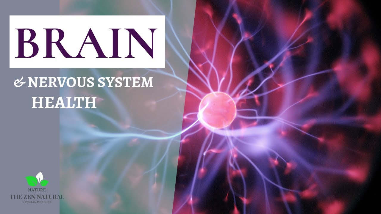 BENEFITS OF LION'S MANE MUSHROOMS BRAIN HEALTH YouTube