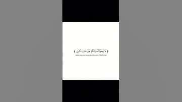 تلاوة من سورة الحجرات//للقارئ عمر الدريويز //شاشة بيضاء#لا_تنسوا_الدعاء_لأهلنا_في_غزة🇵🇸