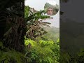 Goodness Of God 