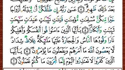 ختمة مصحف التجويد برواية قالون الصفحة رقم 560