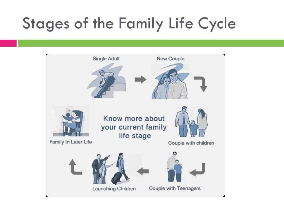 Developmental Stages Of Family Life Cycle