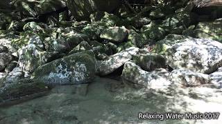 【癒し】自然音　リラックス出来る川のせせらぎ　屋久島