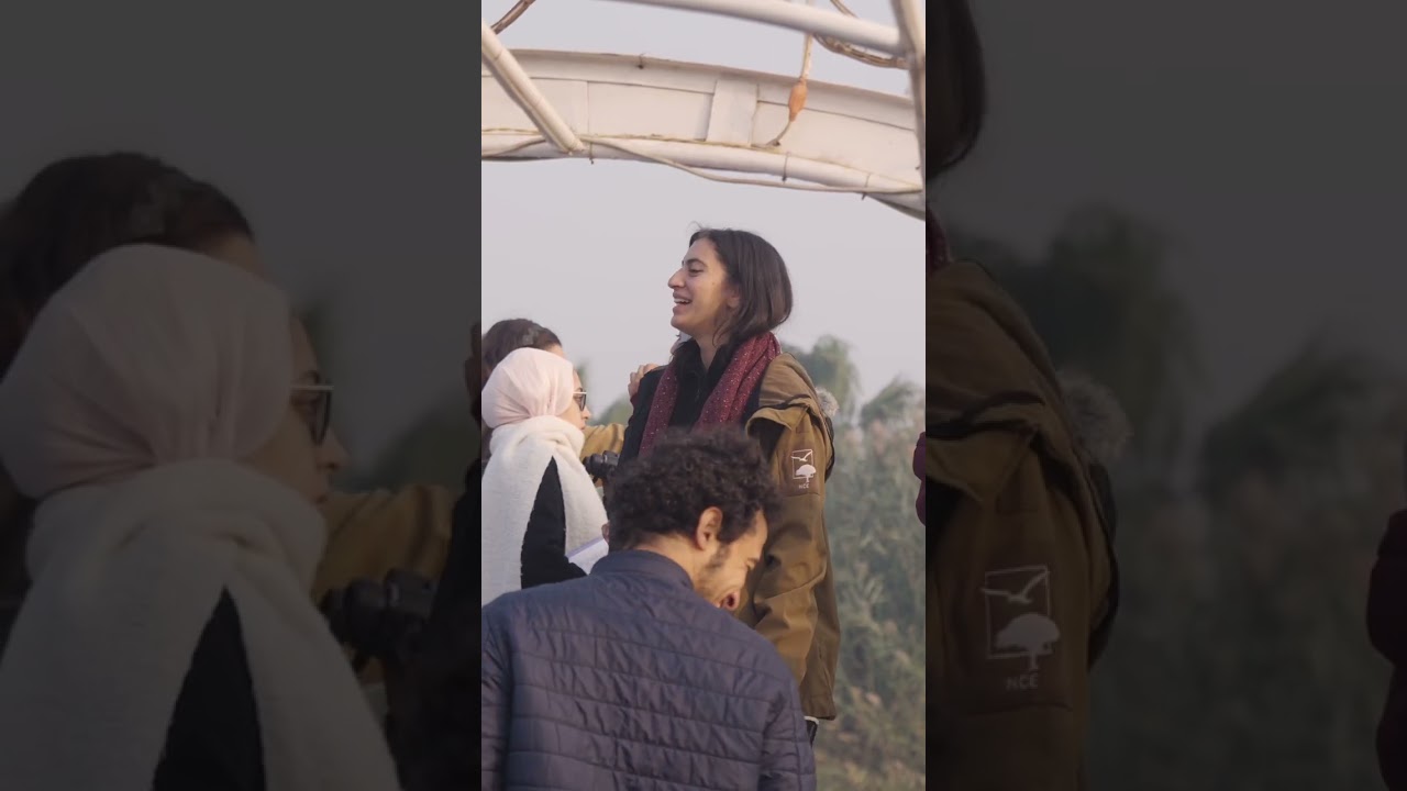 Egypt lights up with migrating birds every winter! ❄️