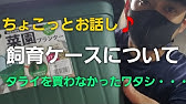 ホシタカめだか 008 プランターの穴埋め Youtube
