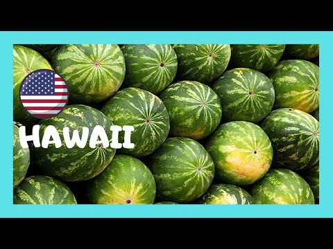 Video: Honolulu 