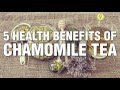 5 amazing health benefits of chamomile tea