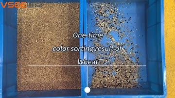 VSEE color sorter one time sorting of wheat