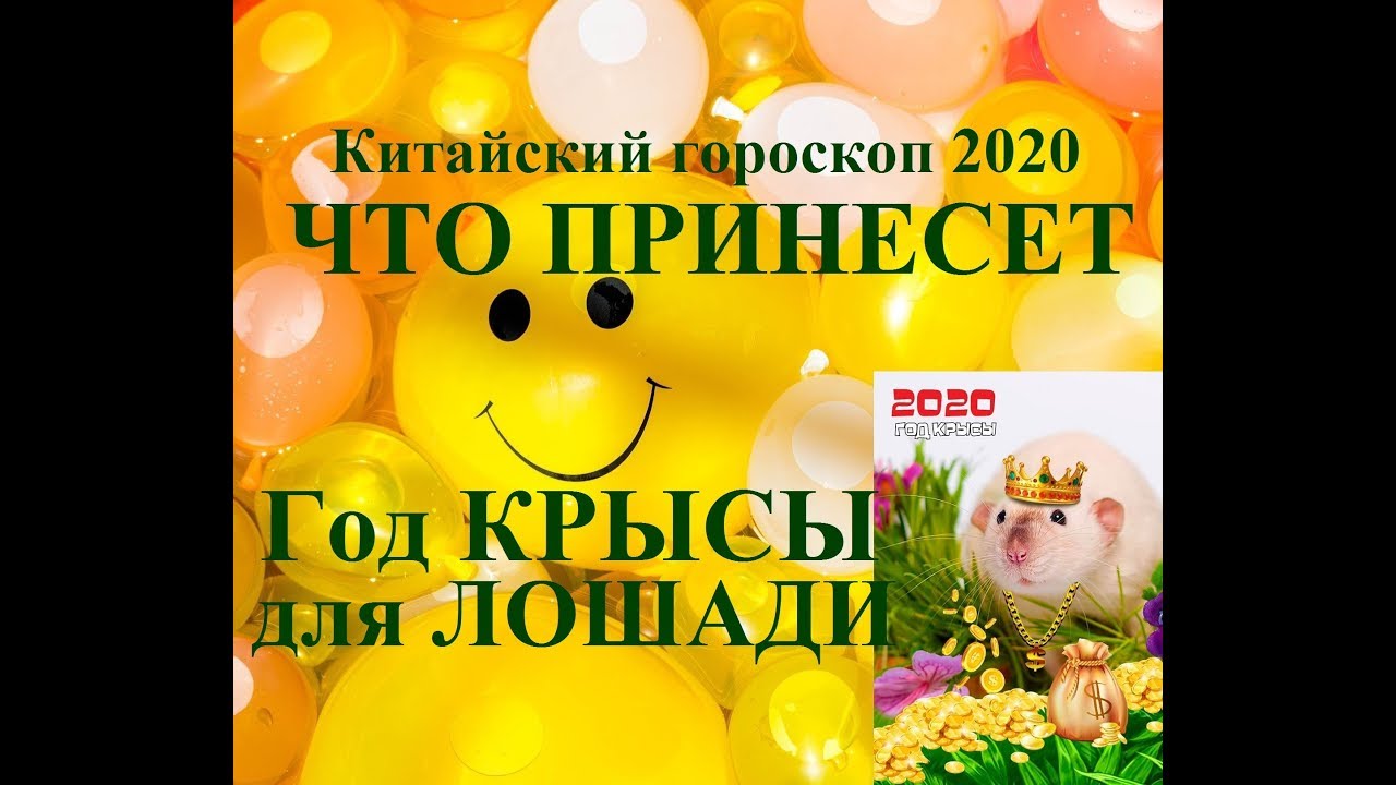Год КРЫСЫ для ЛОШАДИ. Китайский гороскоп 2020. Таропрогноз.