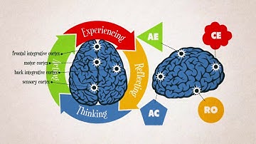 8 Things To Know About the Experiential Learning Cycle (Part 3)