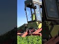 Stara bestia w akcji! 🔥 Legend never dies: old combine harvesting! #viral