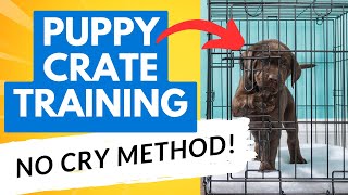 Puppy Crate Training: A NoCry Method for Restful Nights