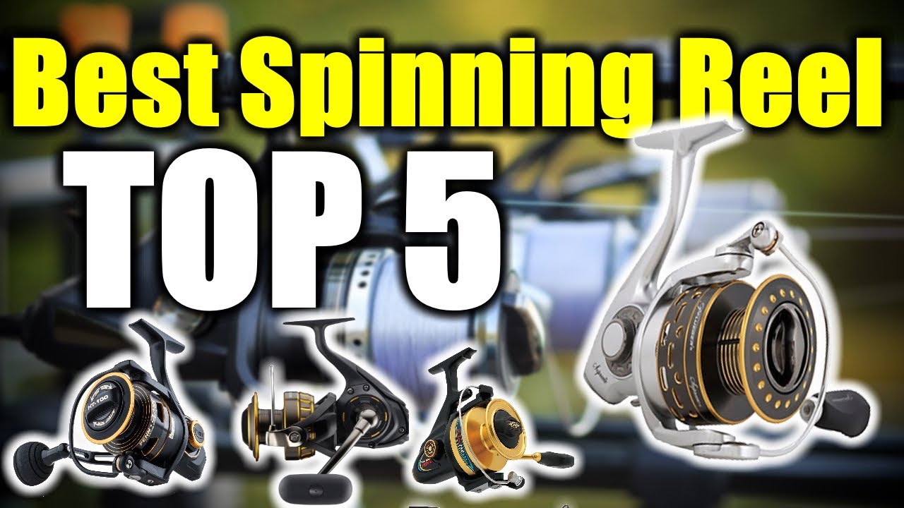 5 Best Spinning Reel 2023 [RANKED]