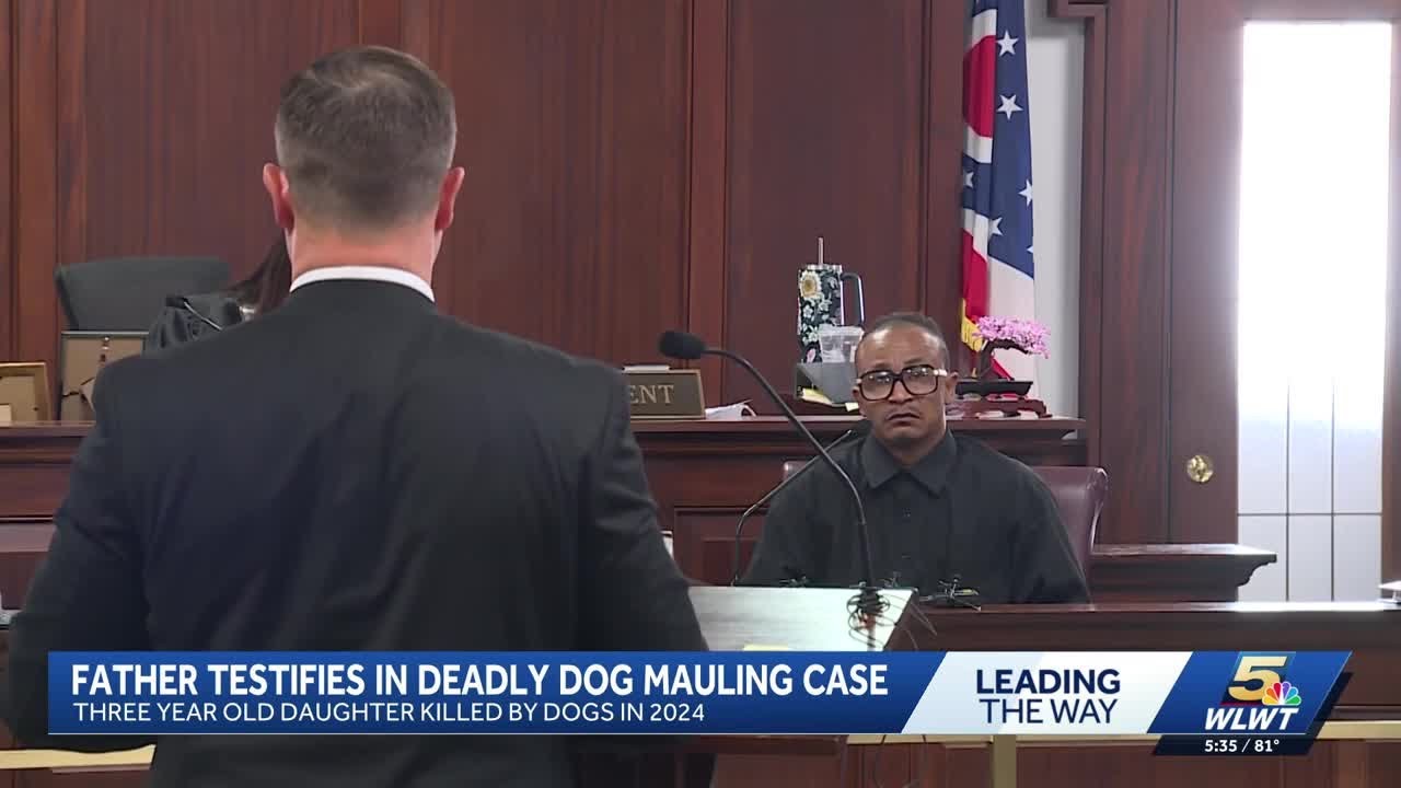Father on trial for dog attack death of 3-year-old daughter testifies ...