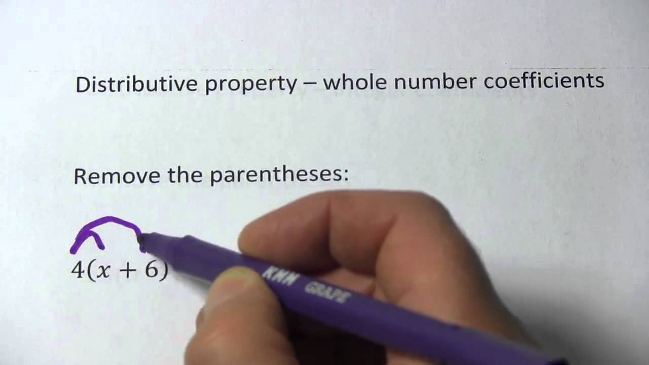 distributive-property-with-whole-number-coefficients-youtube