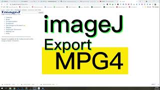 fiji imagej mp4