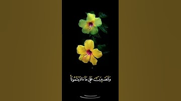 صباح الخير اجمل حالات واتس اب مقاطع قصيره قران كريم سورة إبراهيم ومالنا الانتوكل على الله بدون حقوق