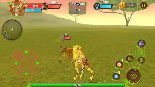 Lion hunting zebras game zebra lion kids