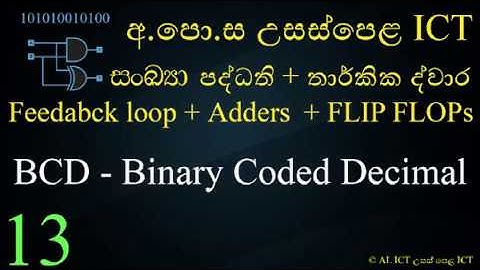 13 - Binary Coded Decimal BCD