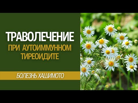 Как лечить АИТ? Травы при аутоиммунном тиреоидите. Народное лечение болезни Хашимото