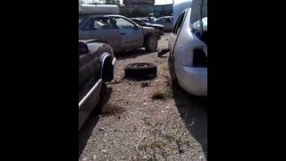 Salvage yard fun