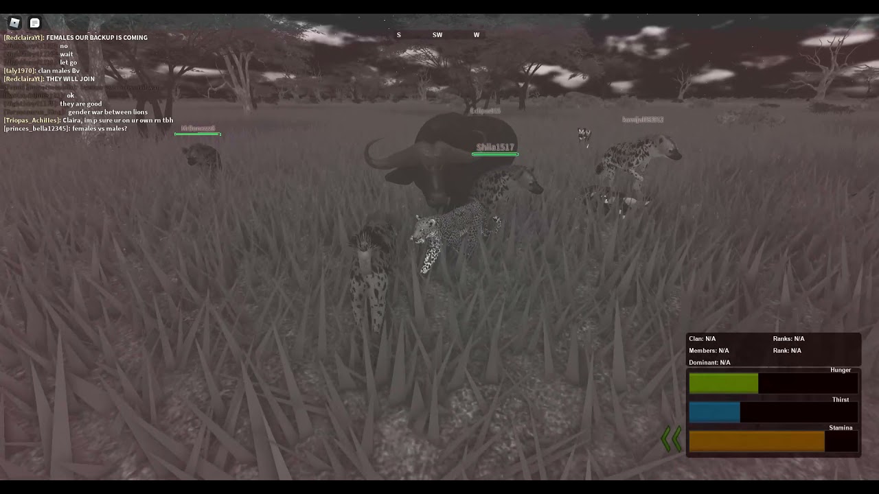 NOCTURNAL BUFFALO HUNT! (Day and Night Update!) ROBLOX Testing (A) YouTube