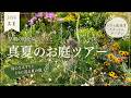 【8月の庭】猛暑でも元気な植物、弱った植物｜真夏の日向ガーデンツアー｜2026/8/9
