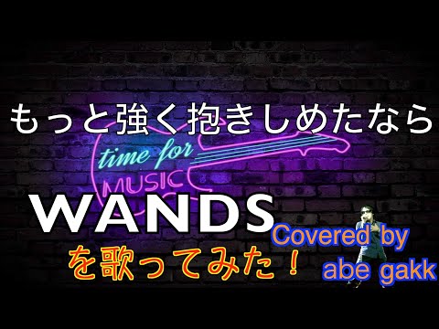 【歌ってみた】もっと強く抱きしめたなら／WANDS 　ワンズ　THE FIRST TAKE　ライブ　歌うま　covered by謎のボーカリストabe gakk