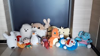 귀여운 포메라니안 강아지 인형과 함께