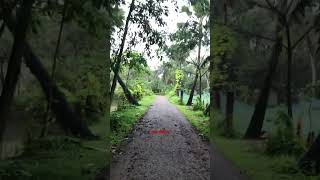 #bollywood #nature #viral #love #chittagong #travel