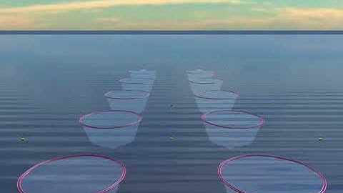 Simulation of a  fish farm consisting of multiple net cages.