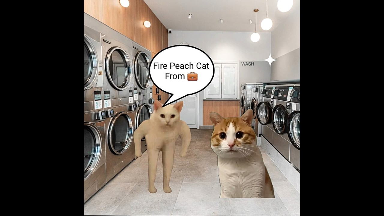 Peach Cat Fired From Job & Baby Banana Cat 😺❤️ 