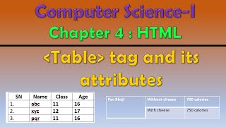 Celebrity Class 12th Computer Science - I : Chapter 4: HTML | Table tag and its attributes | Wealth