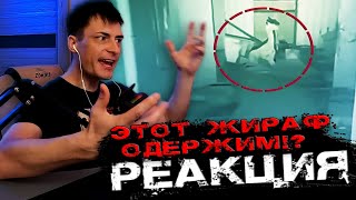 видео: 14 видео от очевидцев с призраками ► Реакция на СТРАШНЫЕ видео картинка: 14 видео от очевидцев с призраками ► Реакция на СТРАШНЫЕ видео