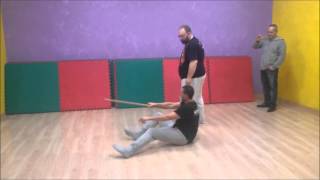 Systema Stick work vol 1