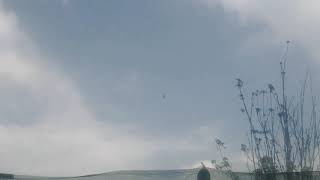HELICOPTER SIGHTING