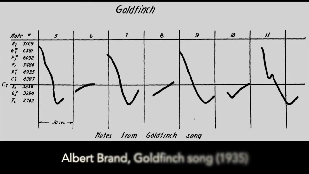 SMT-V 11.5: Between Art & Science: Amy Beach's Hermit Thrush at Eve & Early Birdsong Transcription