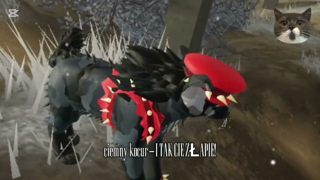 Lore klan lasu//koty występujące: wiewiórczy sus,czarna dolina-#wojowniczekoty #lore#oc 