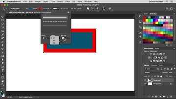 Adobe Photoshop "Path Selection Tool" NSL WK 283
