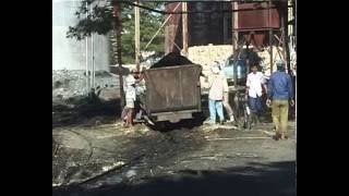 Celebrity Steamy Java 1999 DVD Part 2 Net Worth