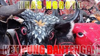 BELAJAR KETIPUNG BANTENGAN KHAS NGROTO BERSAMA PRASETYO DAN DEPIN - MARKAS GUMARANG SAKTI