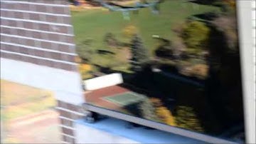 Squirrel Jumps Off Of High Rise Building || ViralHog