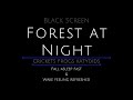 10 Hours - Forest at Night - Forest Frogs - Crickets - Katydids - Forest Sounds - Frogs in Forest