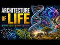 🏛️🧬 Architecture of Life | The Blueprint of Nature 🌍🔬