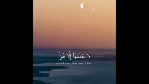 تلاوة أدريس أبكر وعنده مفاتيح الغيب لايعلمها إلا هو من سورة الأنعام مؤثر