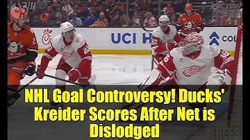 NHL Goal Controversy! Ducks